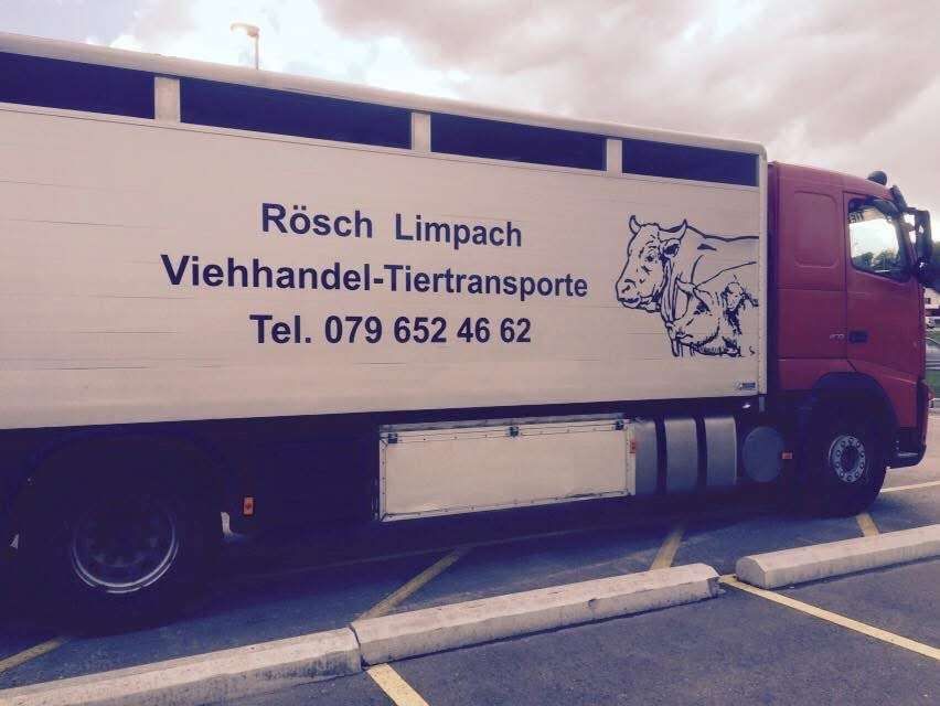 Ein rot-weisser LKW steht auf einem Parkplatz. Foto von der Rösch Tiertransporte GmbH