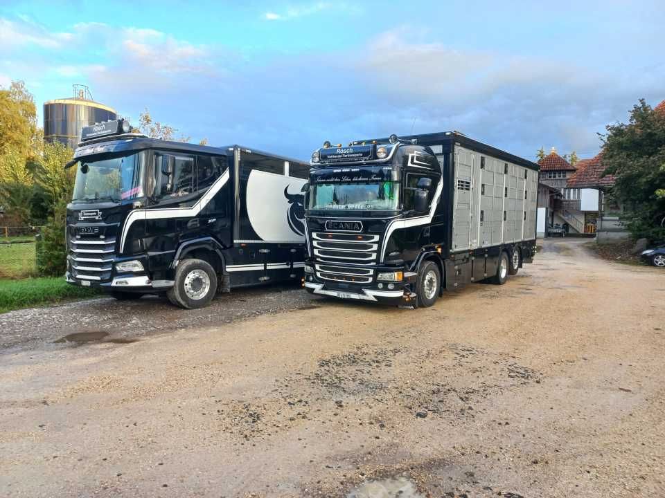 Zwei Lastwagen stehen nebeneinander auf einem Feldweg. Foto von der Rösch Tiertransporte GmbH
