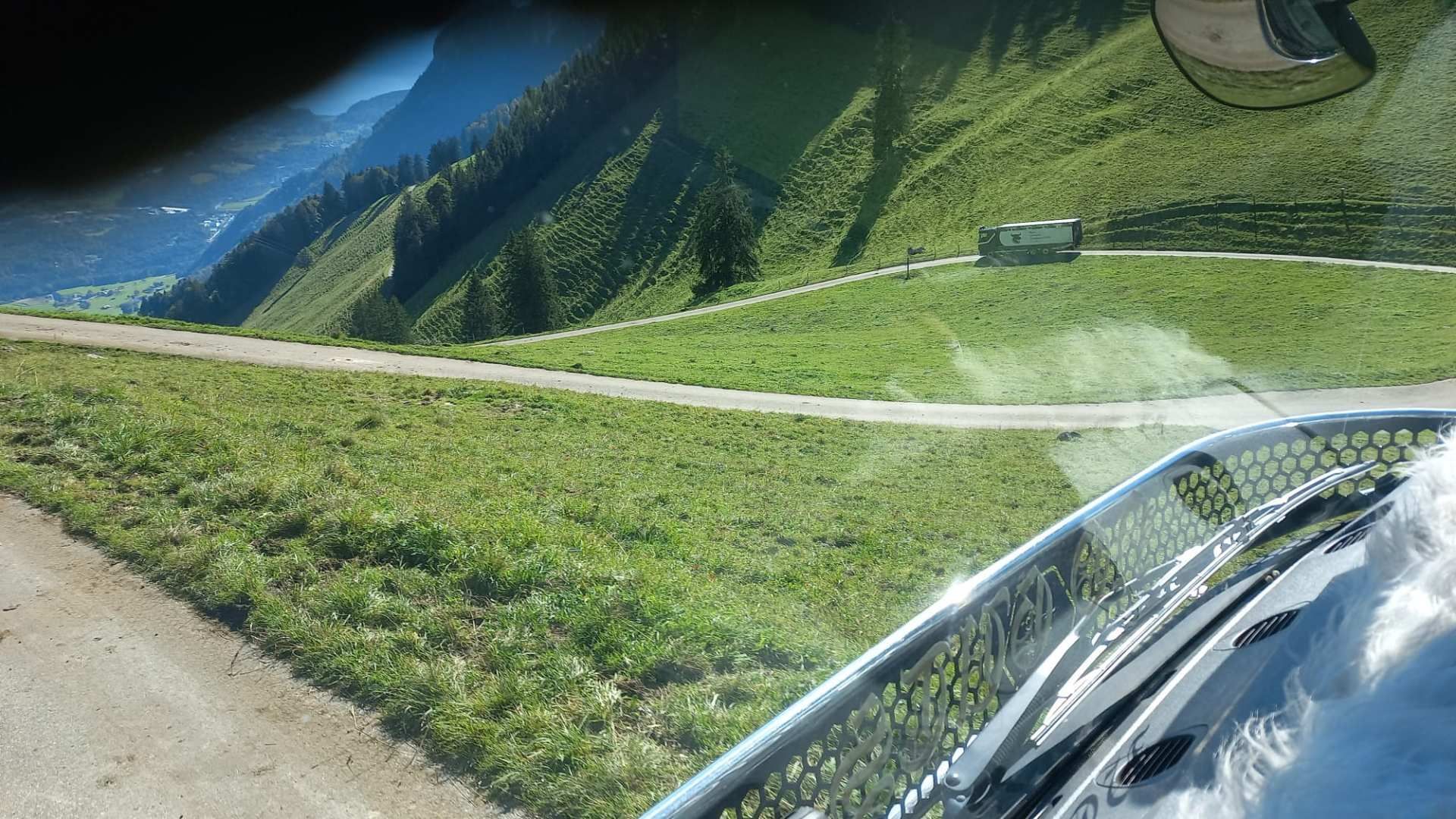 Ein Auto fährt eine Strasse entlang, im Hintergrund sind Berge zu sehen. Foto von der Rösch Tiertransporte GmbH