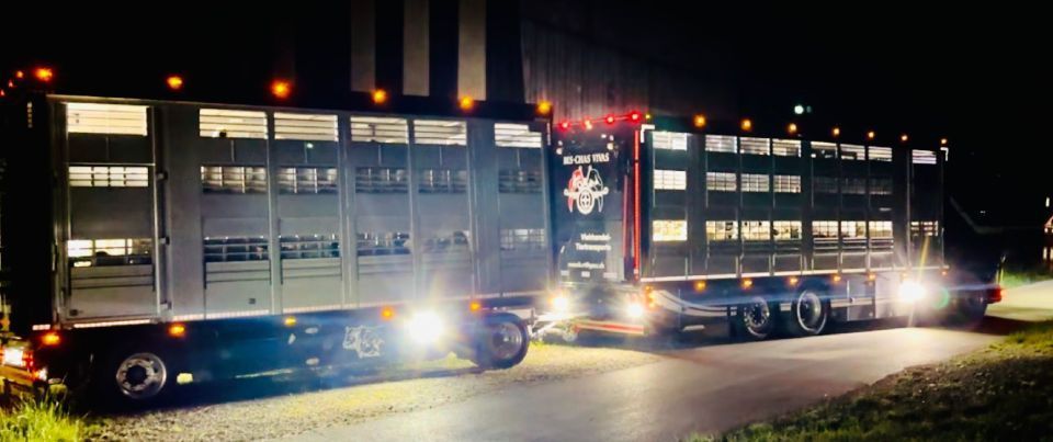 Ein paar Lastwagen parken nachts am Strassenrand. Foto von der Rösch Tiertransporte GmbH