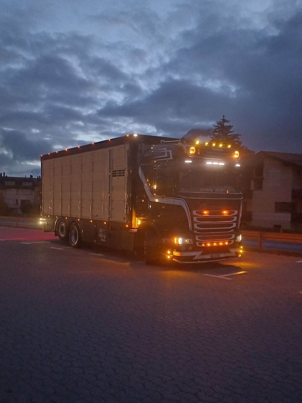 Ein Lkw steht nachts am Strassenrand. Foto von der Rösch Tiertransporte GmbH