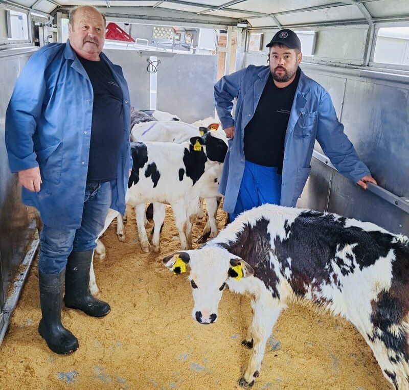 Zwei Männer stehen neben einer schwarz-weissen Kuh. Foto von der Rösch Tiertransporte GmbH