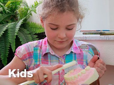 Kind putzt ein Zahnmodell mit einer Zahnbürste