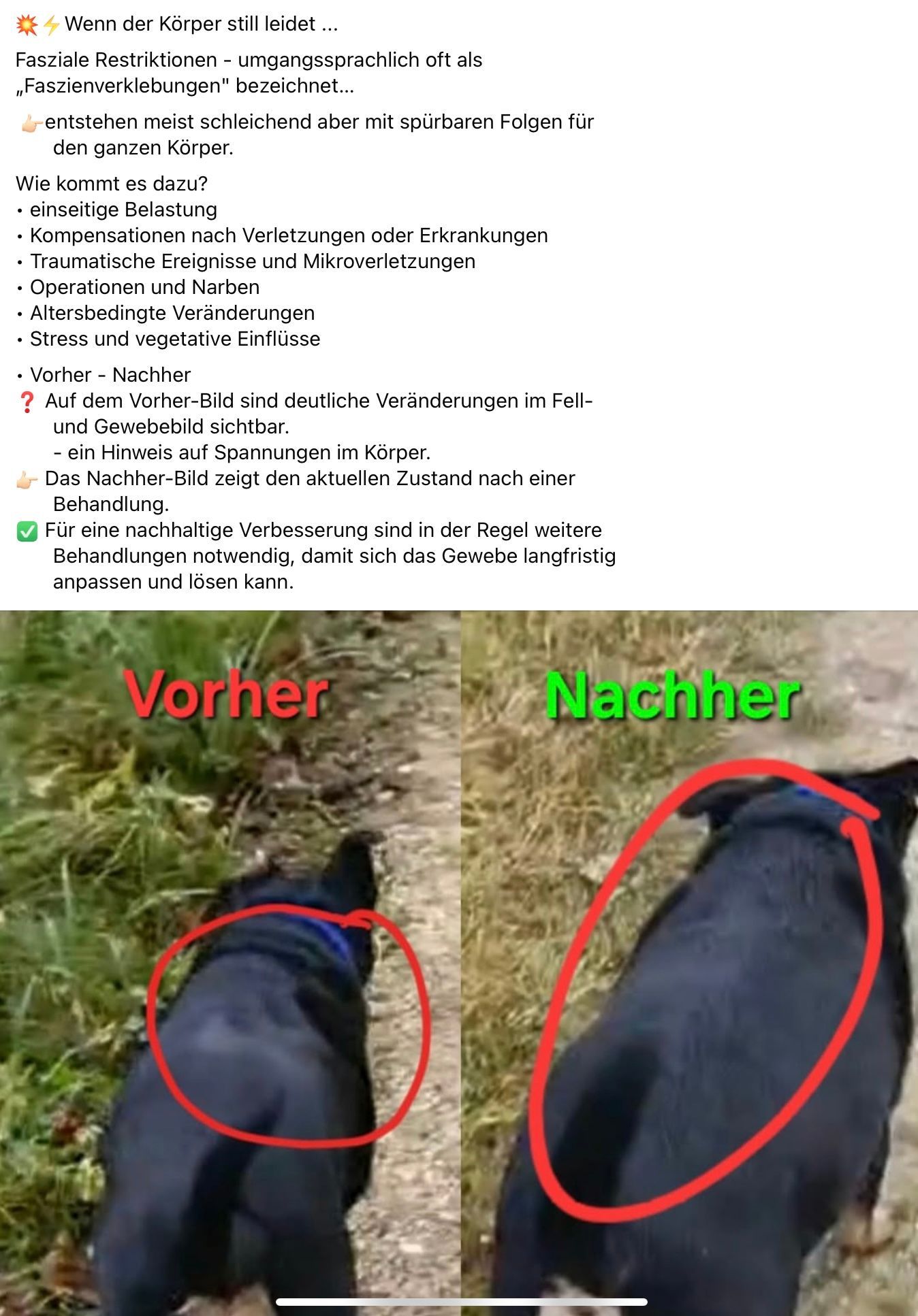 ganzheitliche Faszientherapie