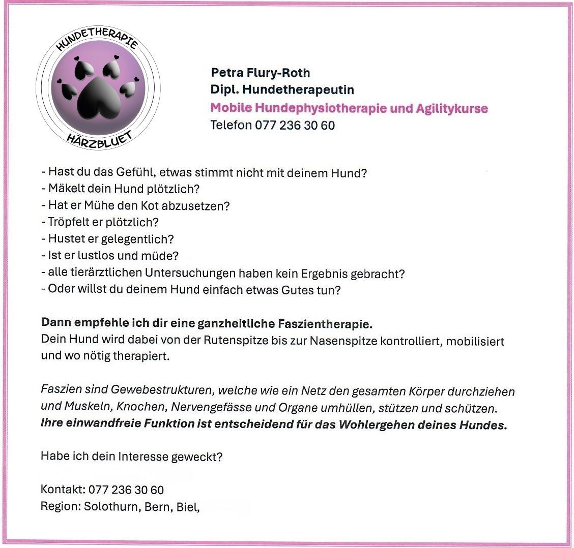 Flyer Hundetherapie Härzbluet mit Informationen zu mobilen Physiotherapieangeboten für Hunde