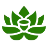 Una flor de loto verde con un centro blanco sobre un fondo blanco.