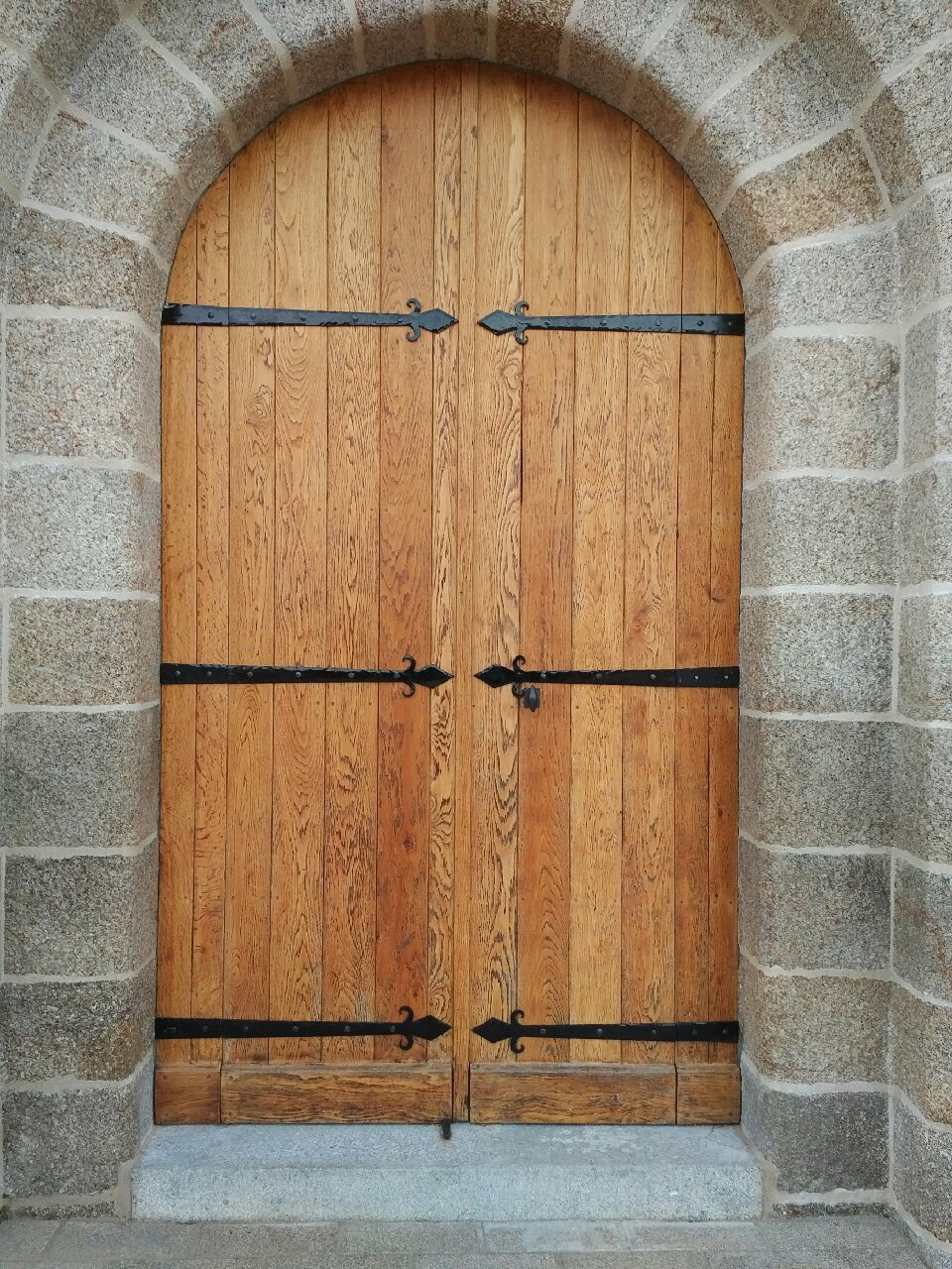 Peintures en fer forgé sur porte double