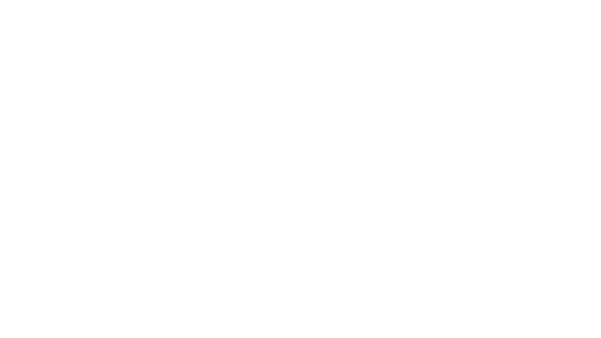 Logo Renault Blanc