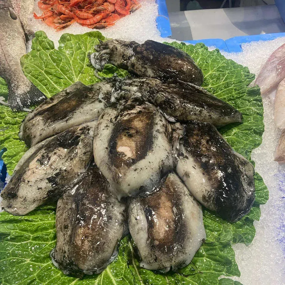 Un grupo de sepias están sentadas encima de una hoja de lechuga sobre hielo.