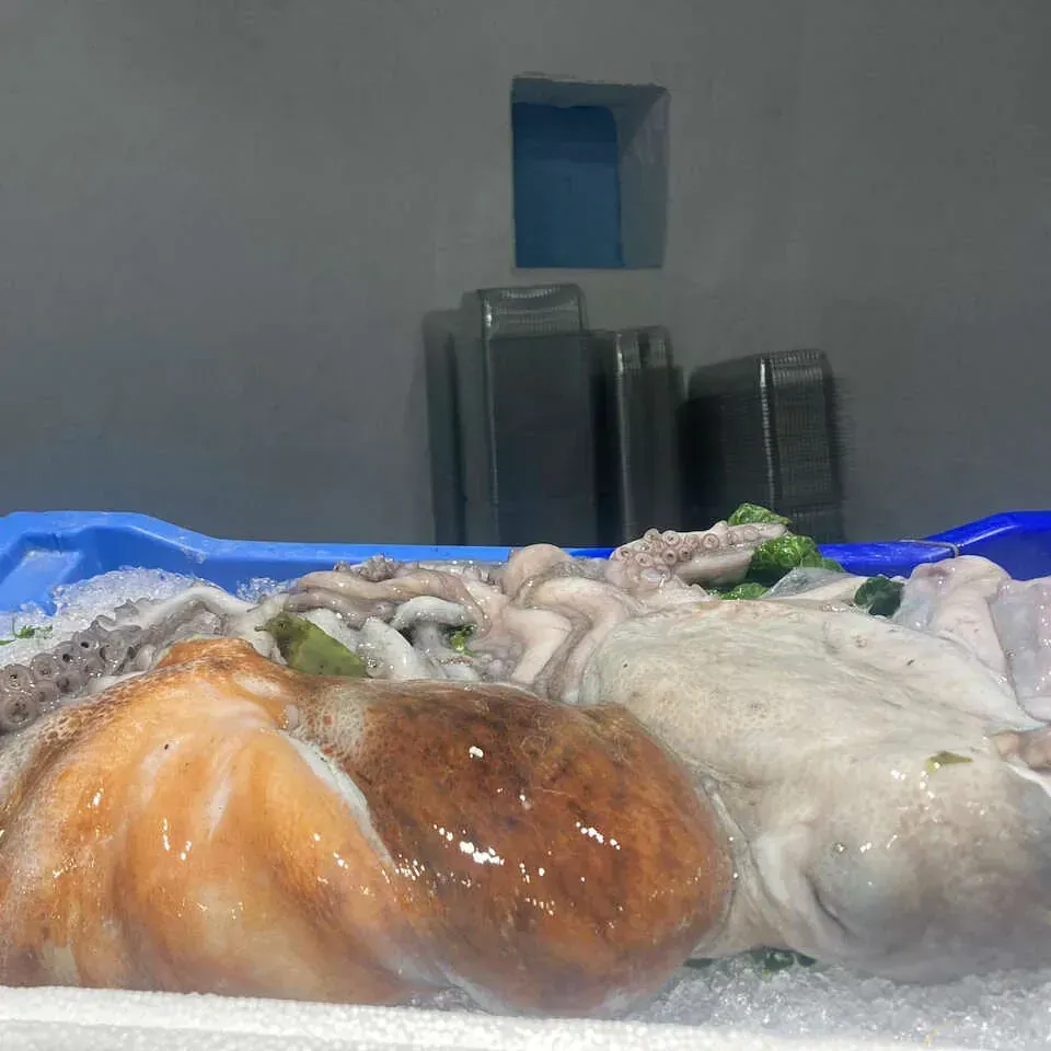 Una bandeja de pulpo sobre hielo.