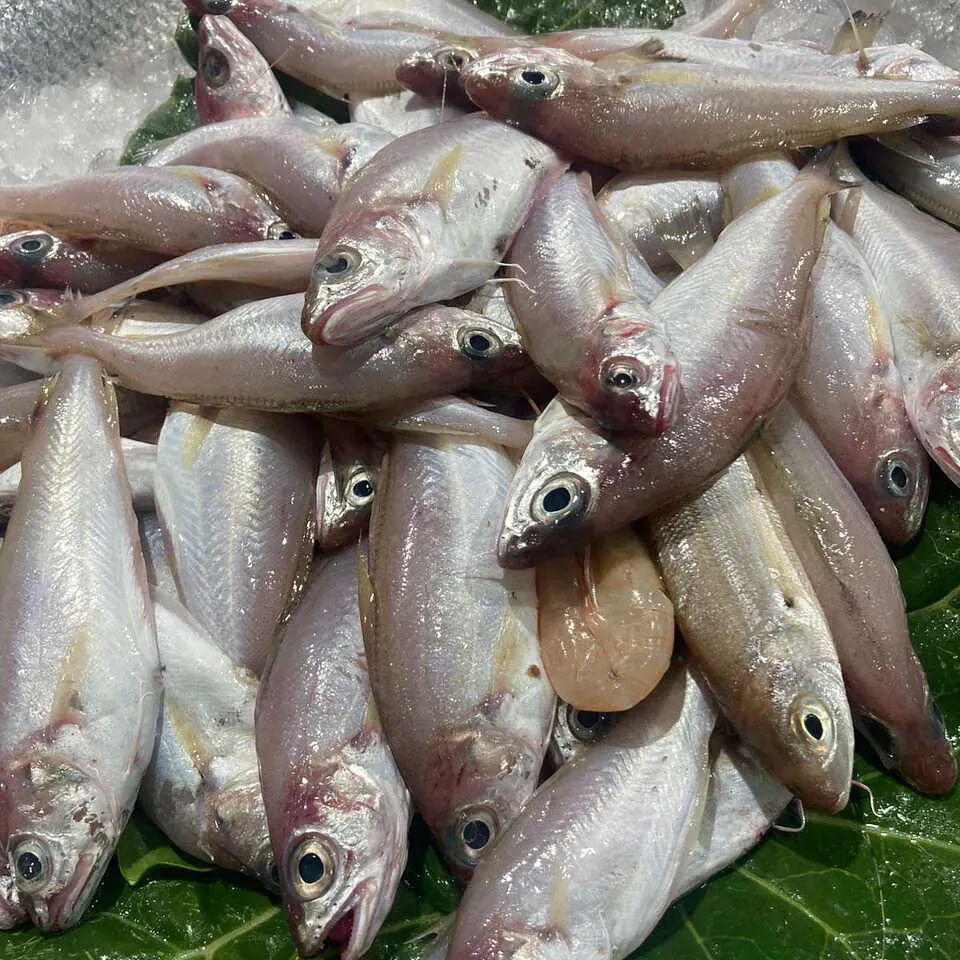 Una pila de peces está sentada sobre una hoja verde