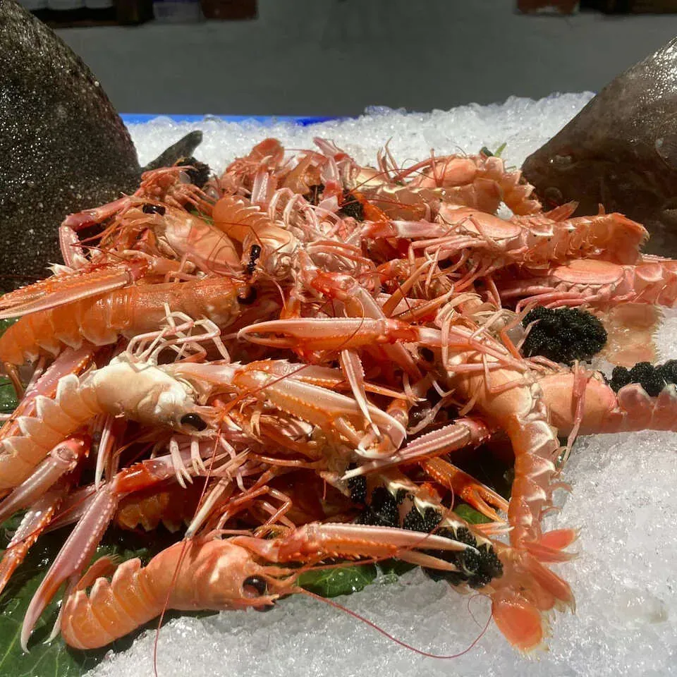 Una pila de camarones está encima del hielo.