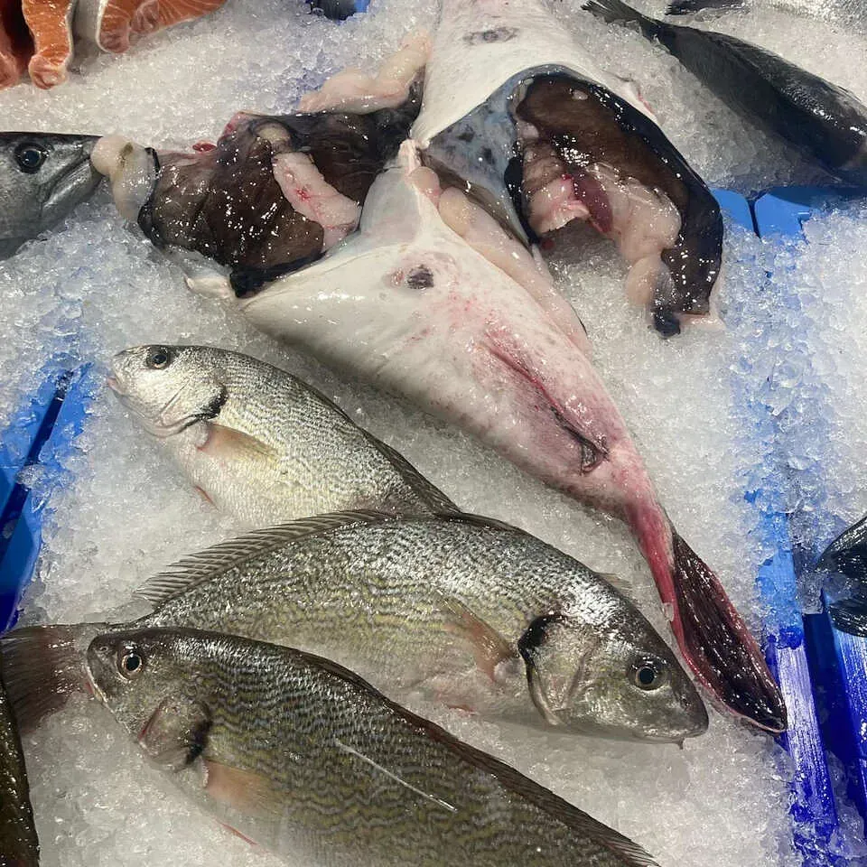 Un montón de peces sobre el hielo