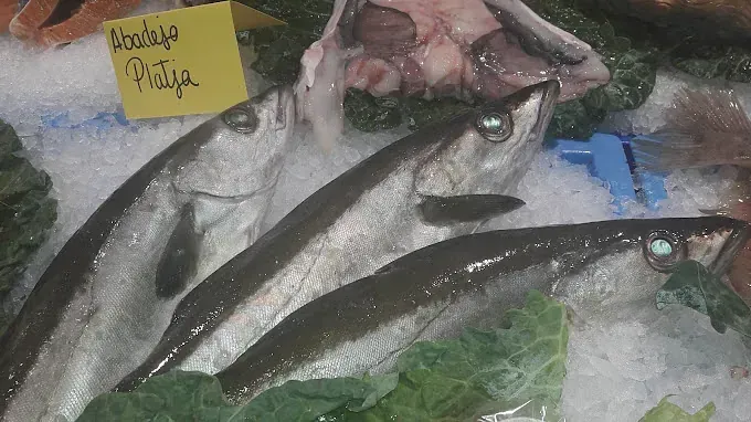 Un montón de peces están sentados encima del hielo.