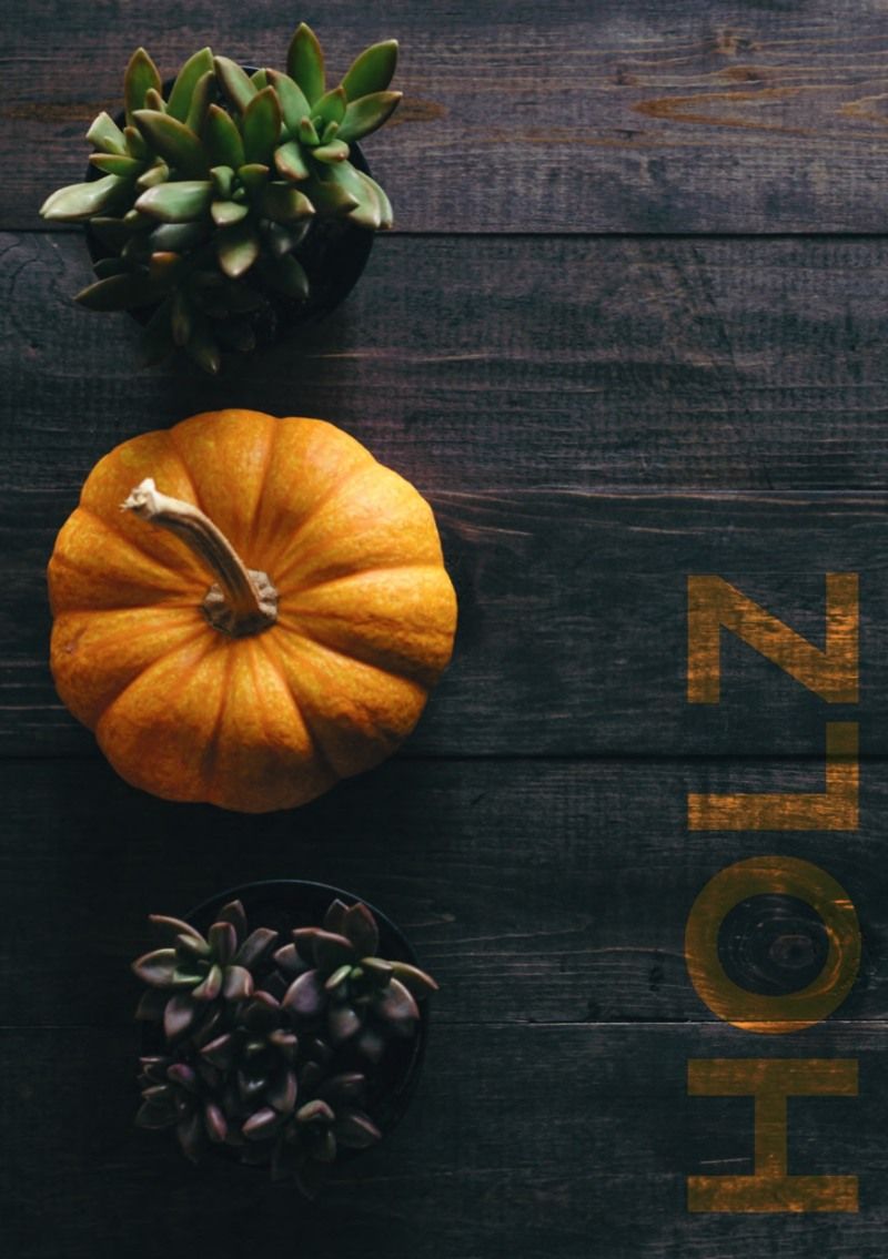 Kürbis und Sukkulenten auf dunklem Holz mit „HOLZ“-Schriftzug.