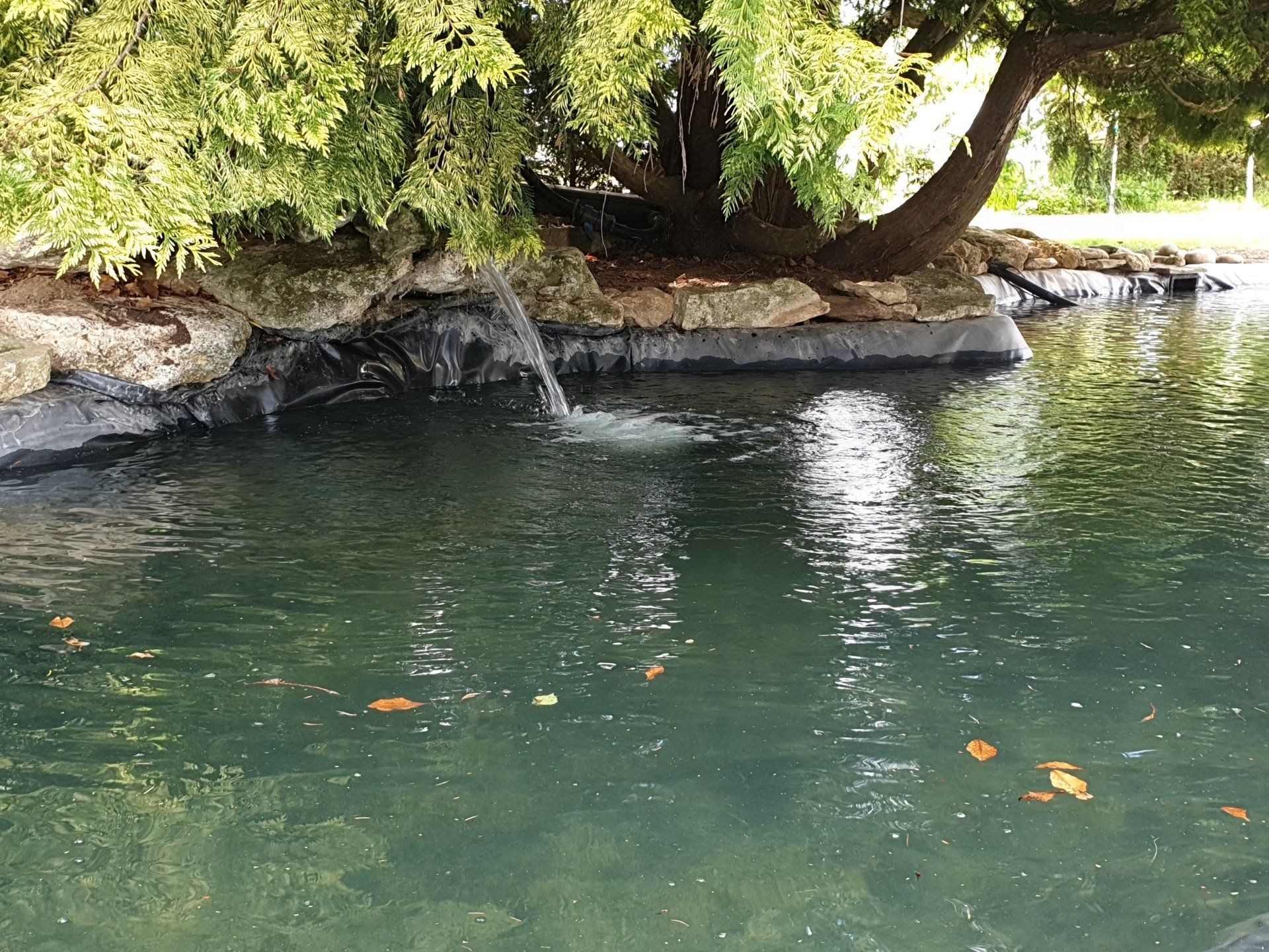Bassin et petite cascade
