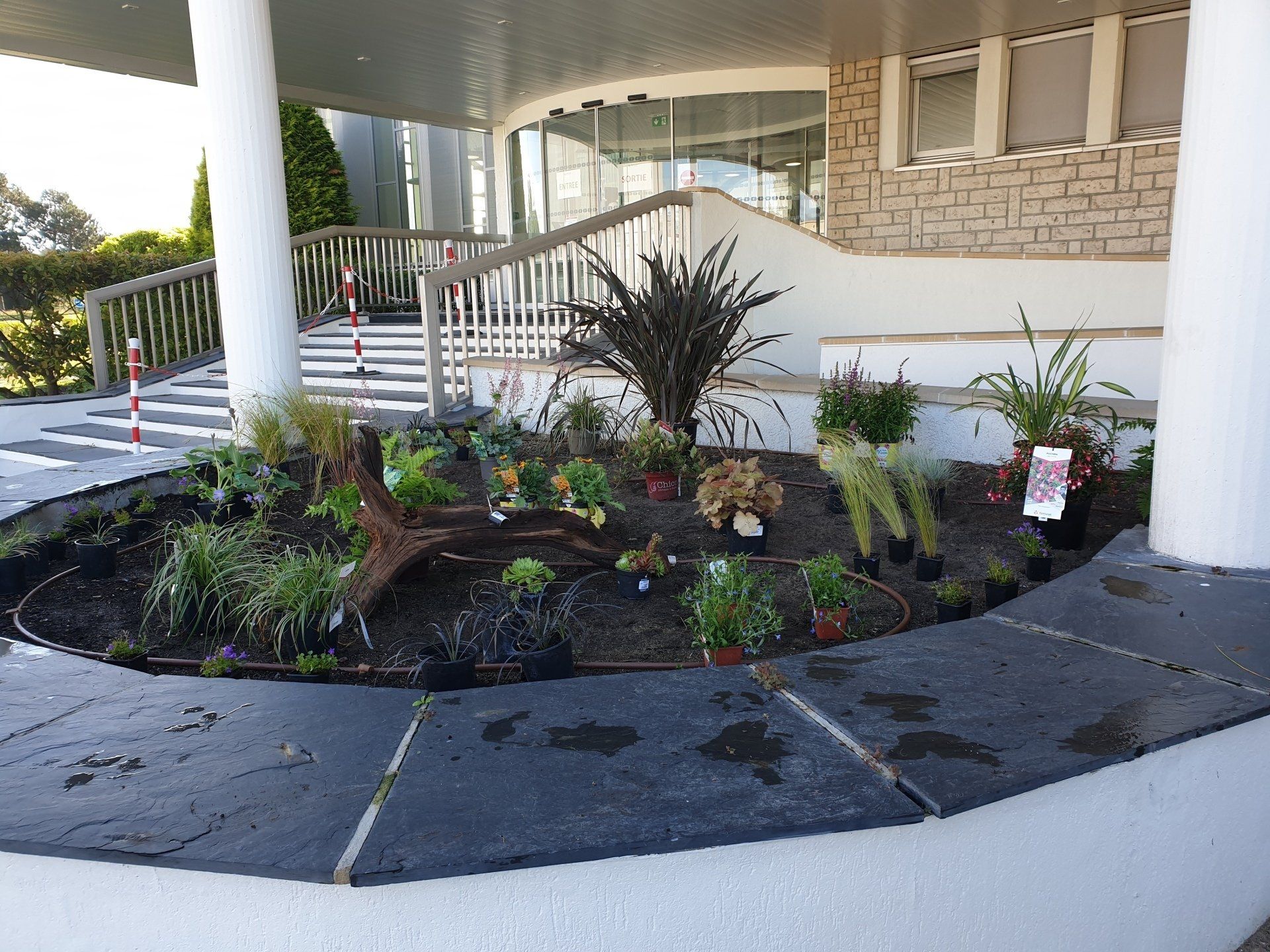 Massif de plantes à l'entrée d'une maison