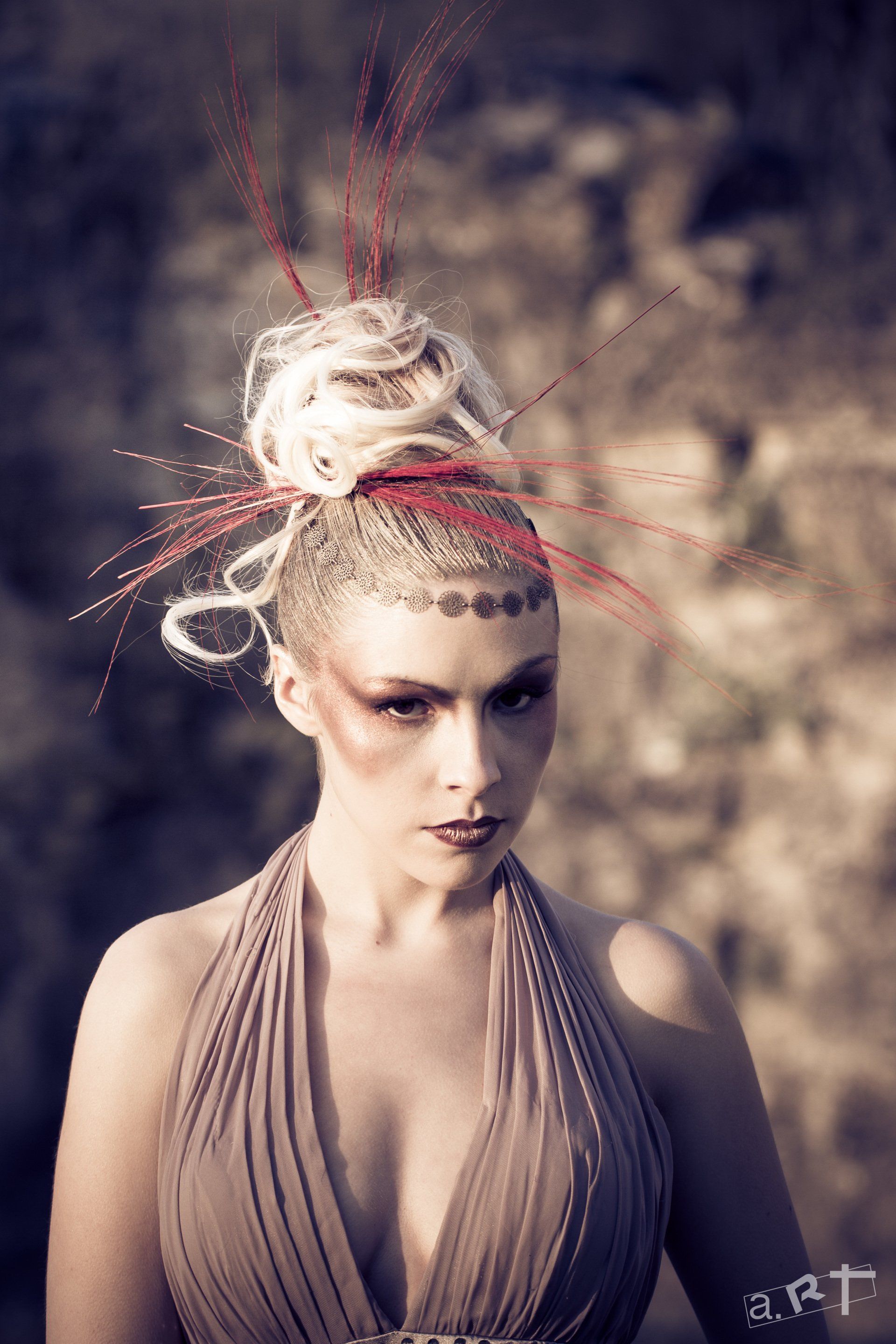 Style Domaine Alpha Coiffure