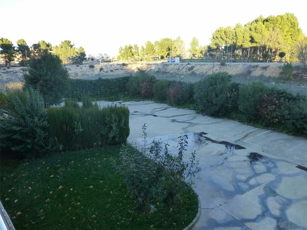 Una pasarela de hormigón rodeada de arbustos y árboles