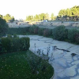 Una pasarela de hormigón rodeada de césped y arbustos en un parque.