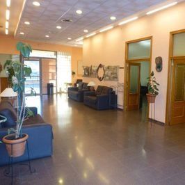 Una sala de estar con muchos muebles y una planta.