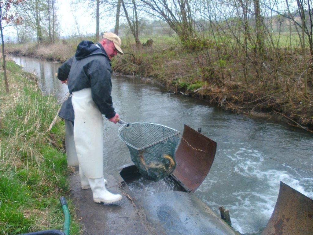 Fischen Landgasthof im Ehegrund