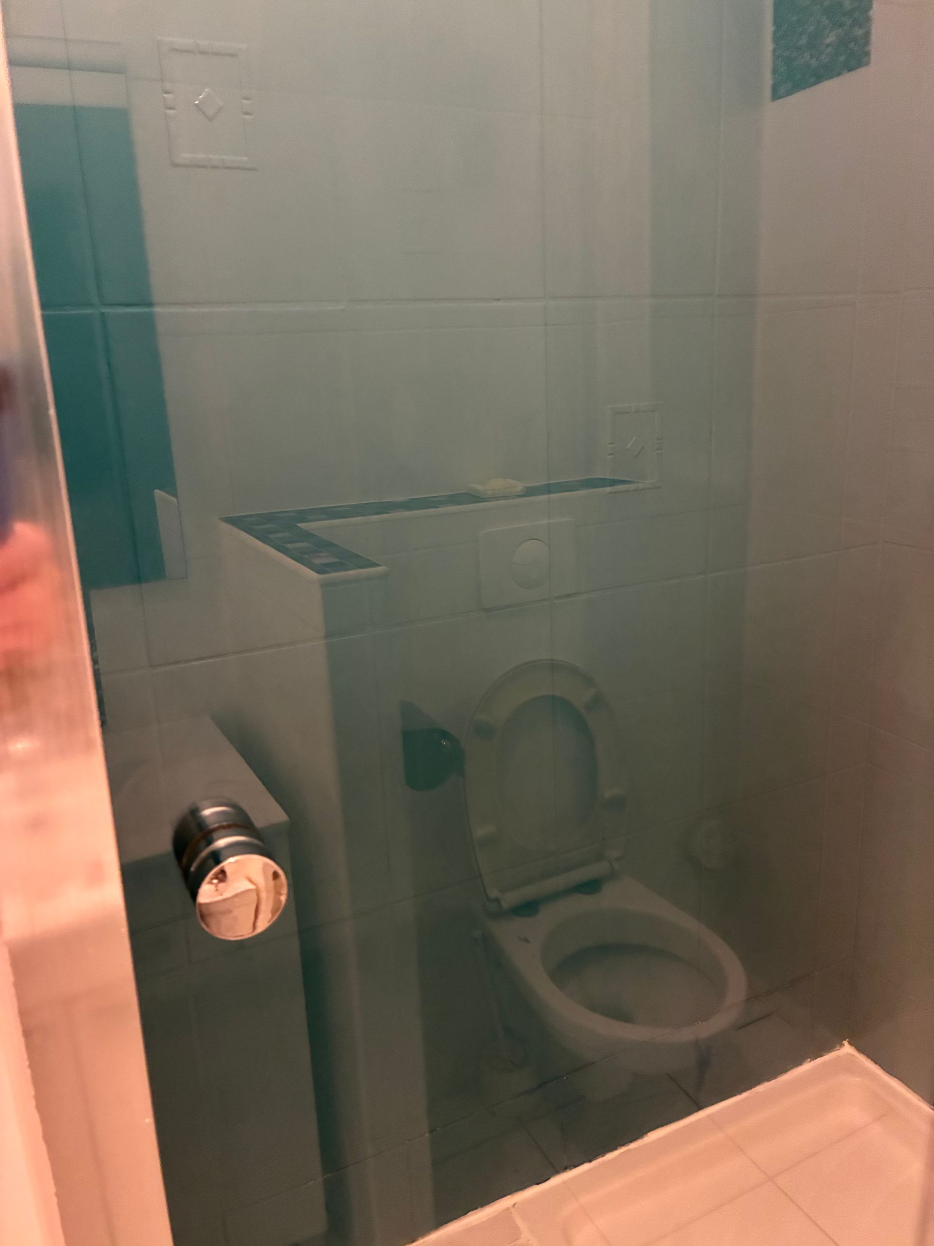 Une porte de salle de bains en verre dépoli, avec des toilettes visibles à l’intérieur et une poignée noire au premier plan.