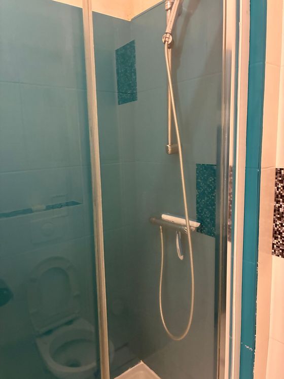 Petite salle de bains aux murs bleu sarcelle, avec une cabine de douche, une pomme de douche et des toilettes.
