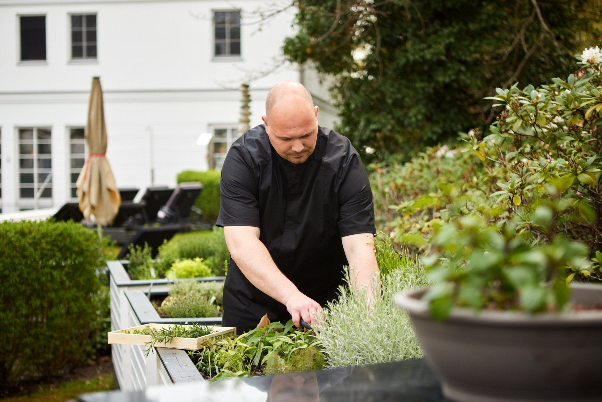 Gaststätte Restaurant Zingst Darß Garten Kräuter