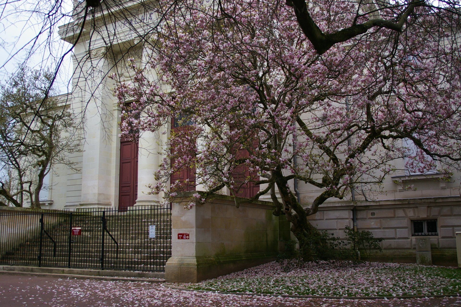 Palais de Justice de Cholet au printemps