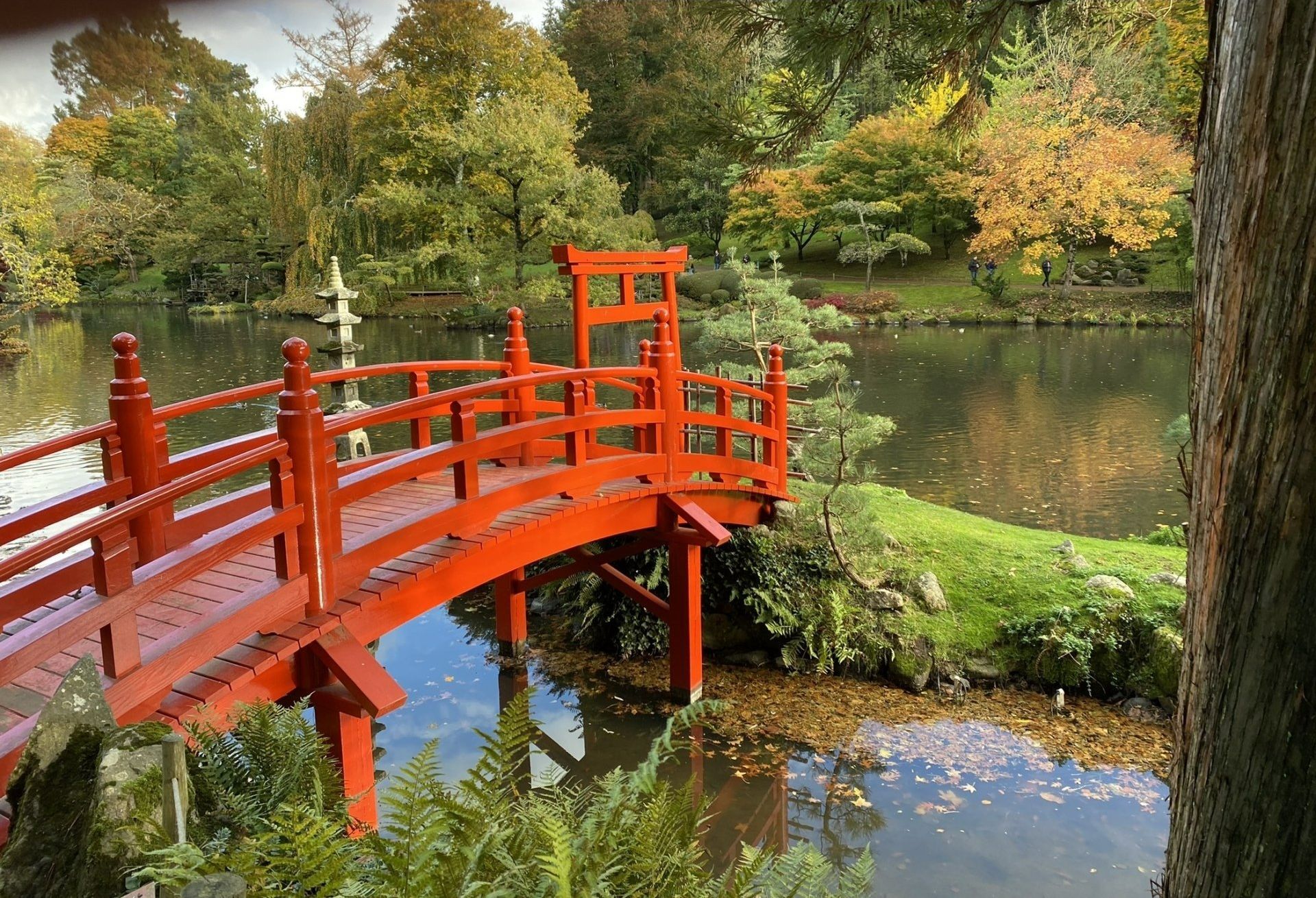 Pont japonais dans un jardin de Cholet