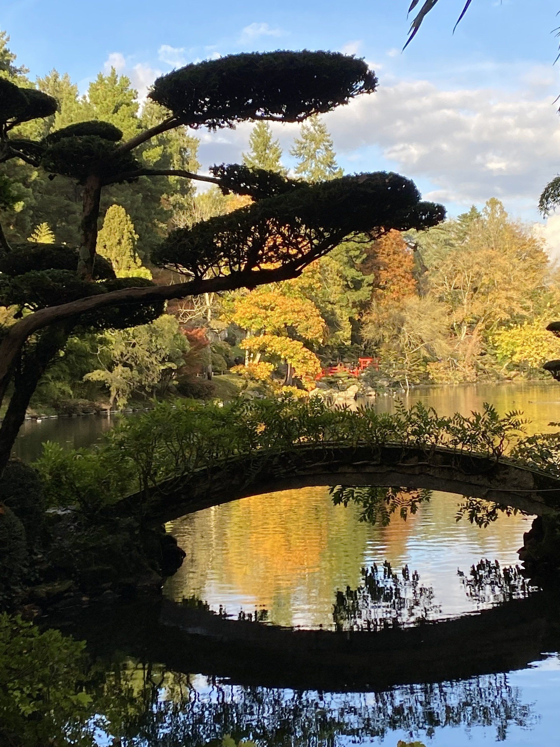 Jardin japonais à Cholet