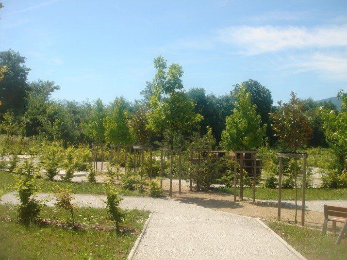 Cimetière à La Motte-Servolex (73)