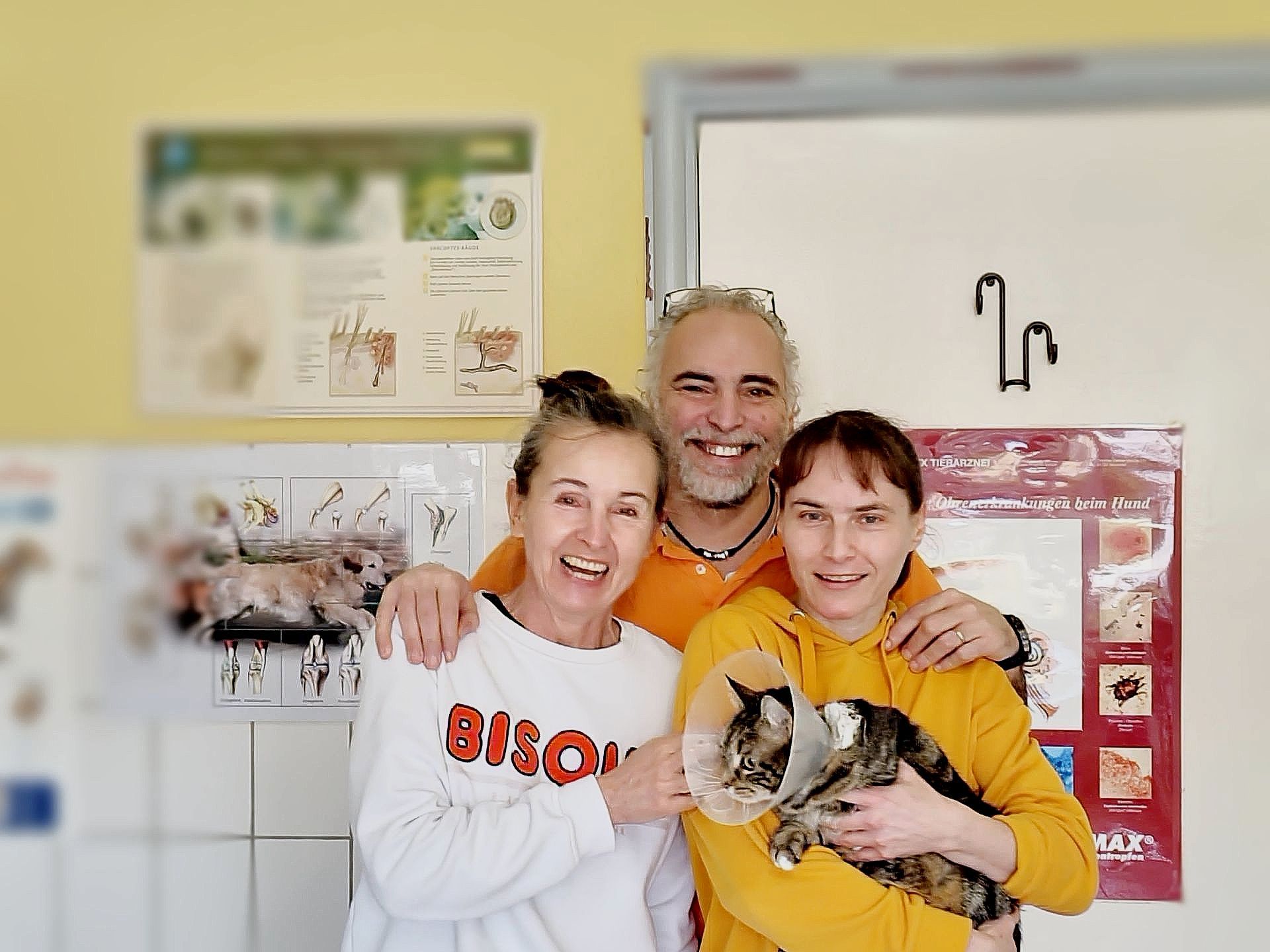 Tierärztin untersucht Katze