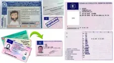Un collage de diferentes tipos de licencias de conducir.