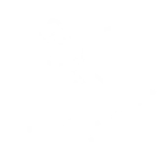 rioni