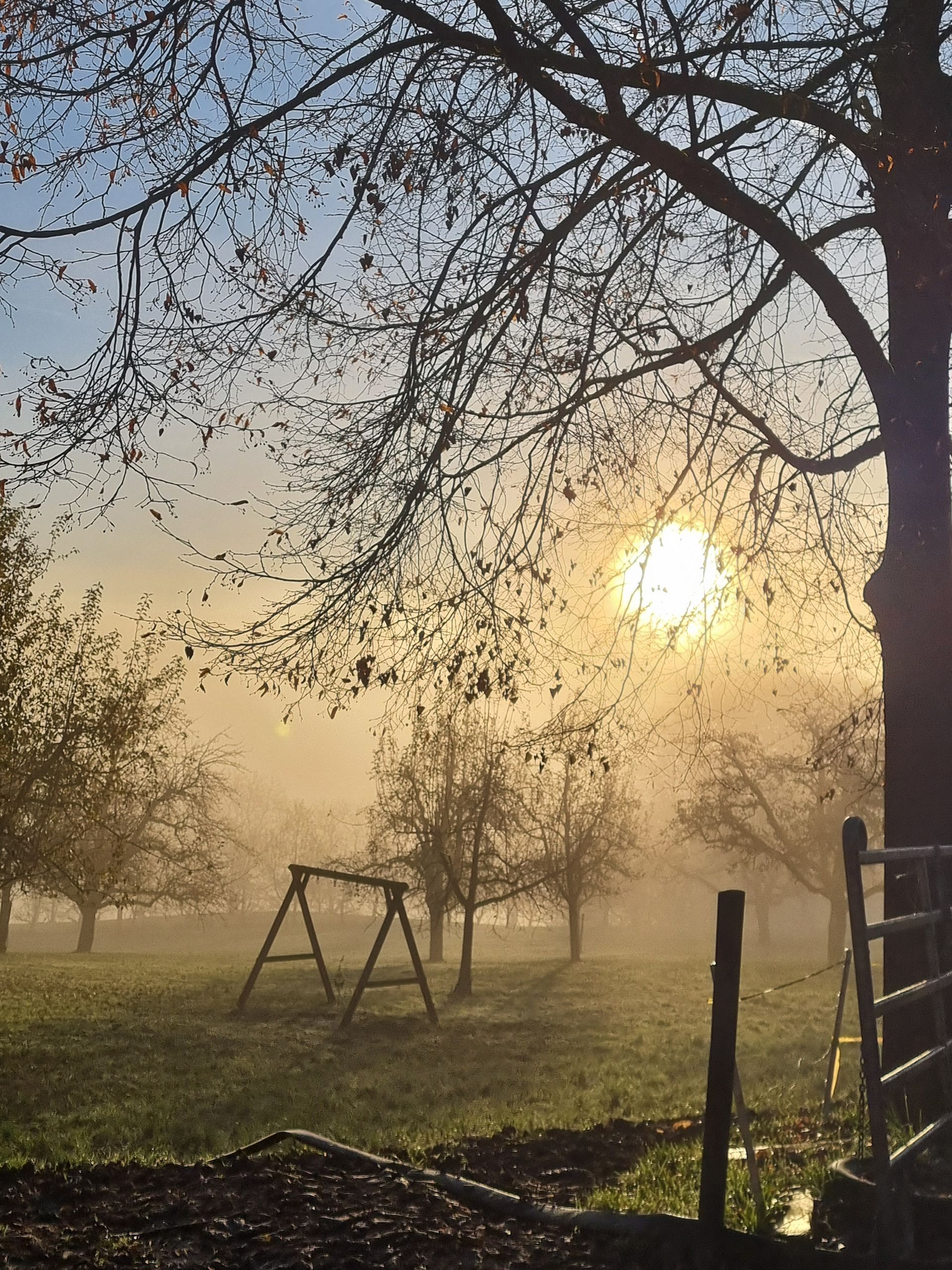 Sonnenaufgang über einem Bauernhof mit Traktor, Rindern und Arbeitern auf einem grasbewachsenen Feld