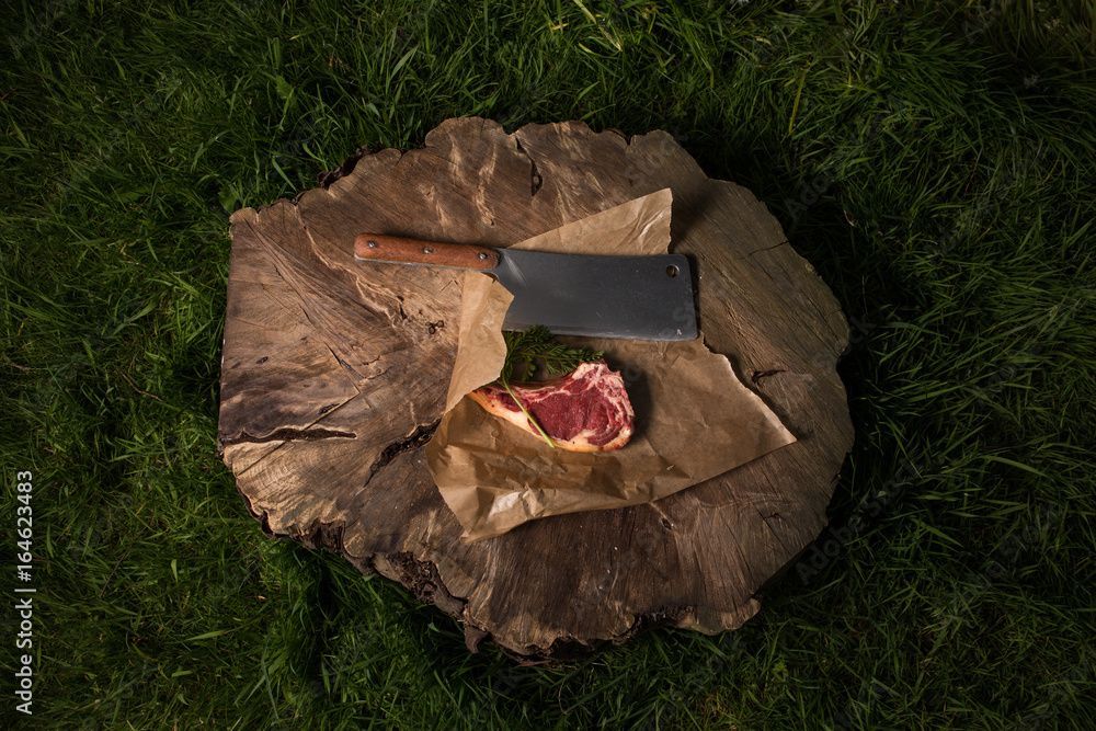 Eine Axt steckt in einem Baumstumpf im Gras, auf dem Stumpf liegt ein Stück Fleisch.