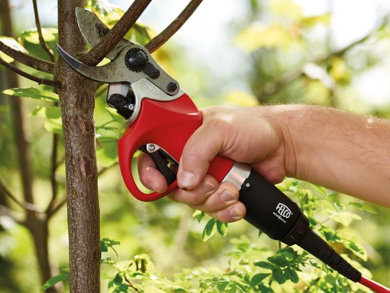 Blondin Michel - Perly