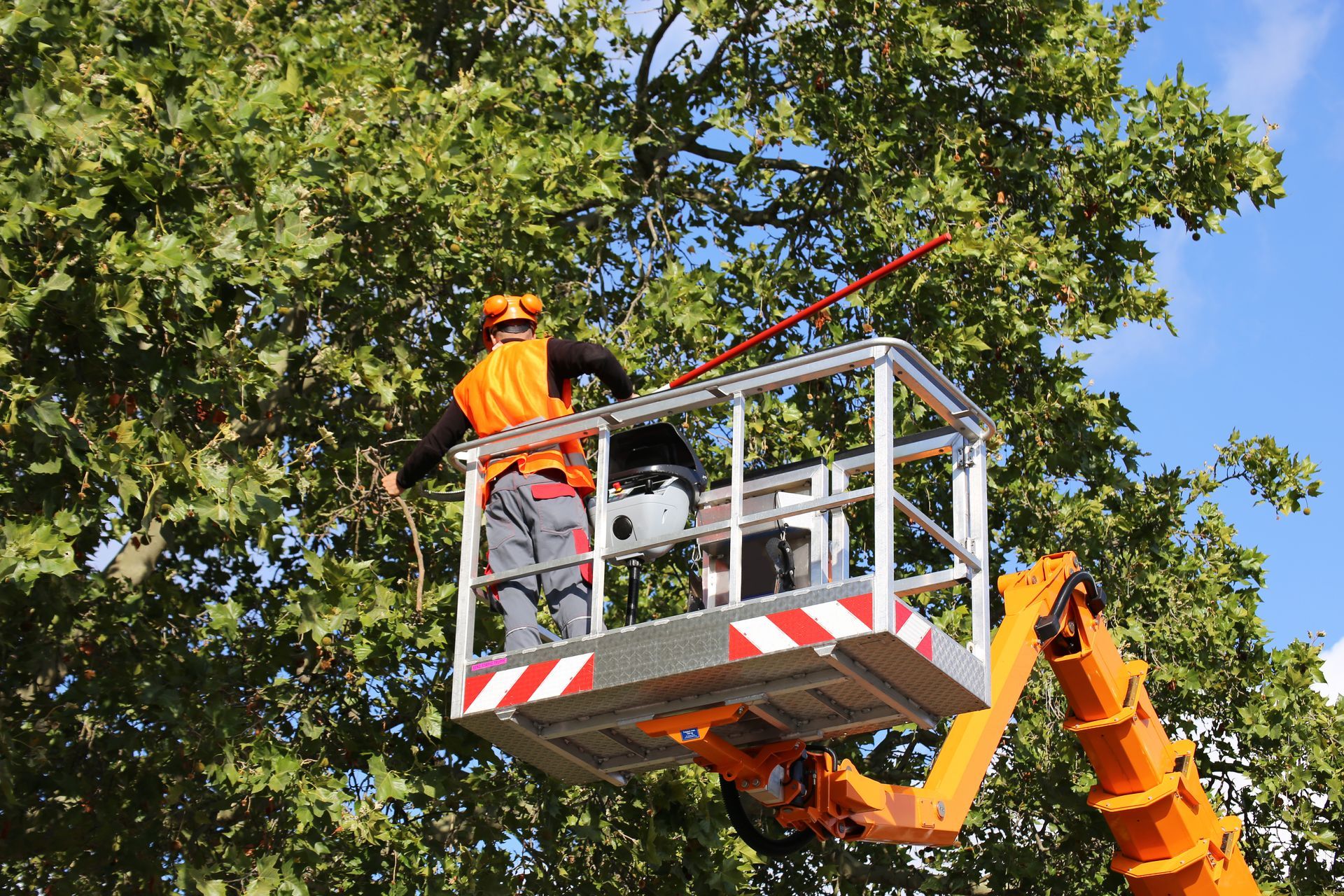 Élagueur en tenue de sécurité orange dans une nacelle élévatrice, élague des branches d'arbres en extérieur