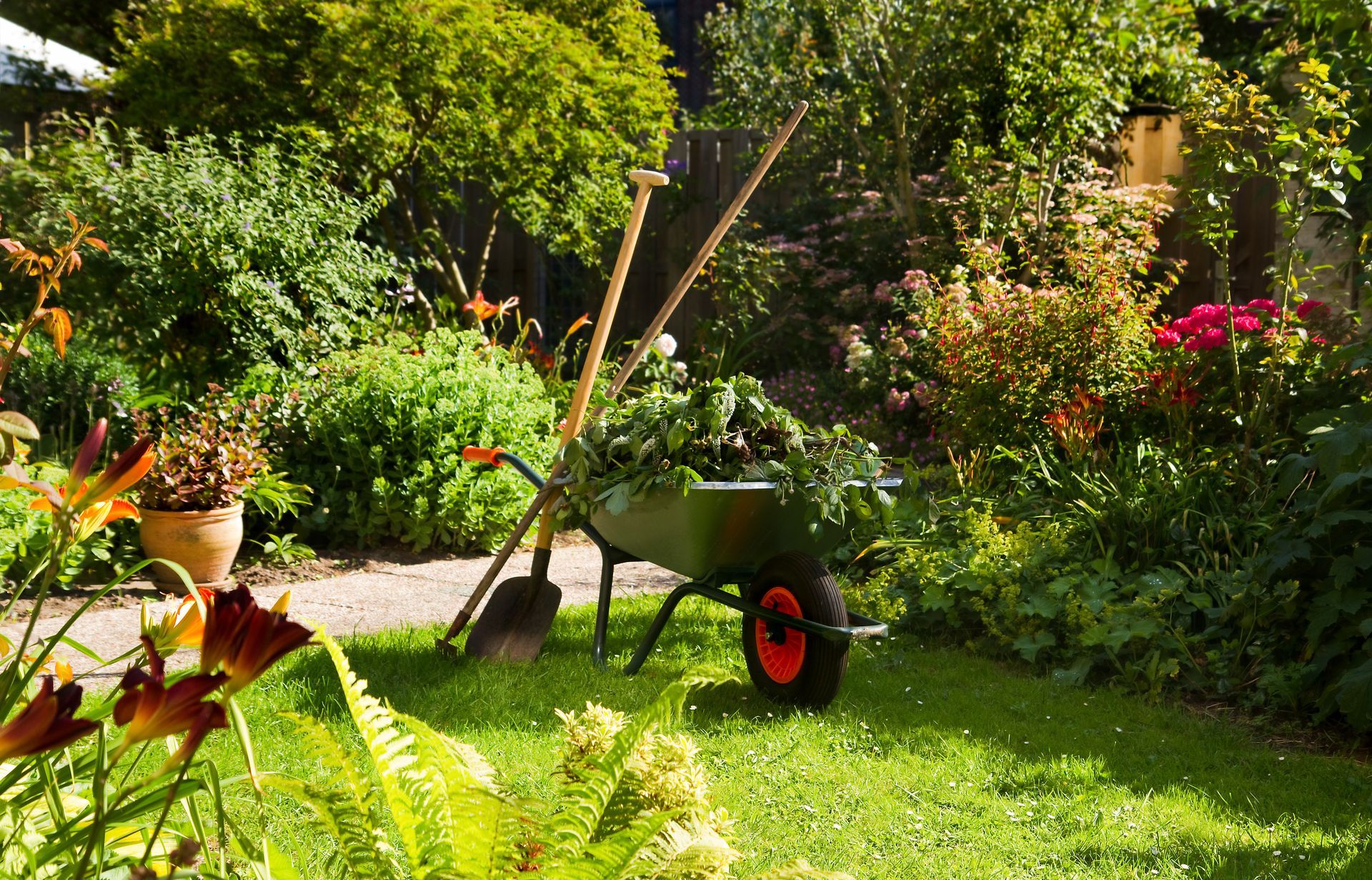 Jardin avec une brouette sur une pelouse verte, entouré d'arbres, d'arbustes et de fleurs.