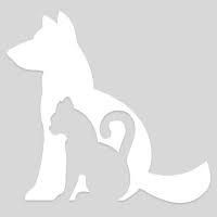 5dcc03e87500003f105661d5.jpg