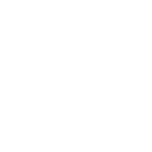 Icon Schutzschild
