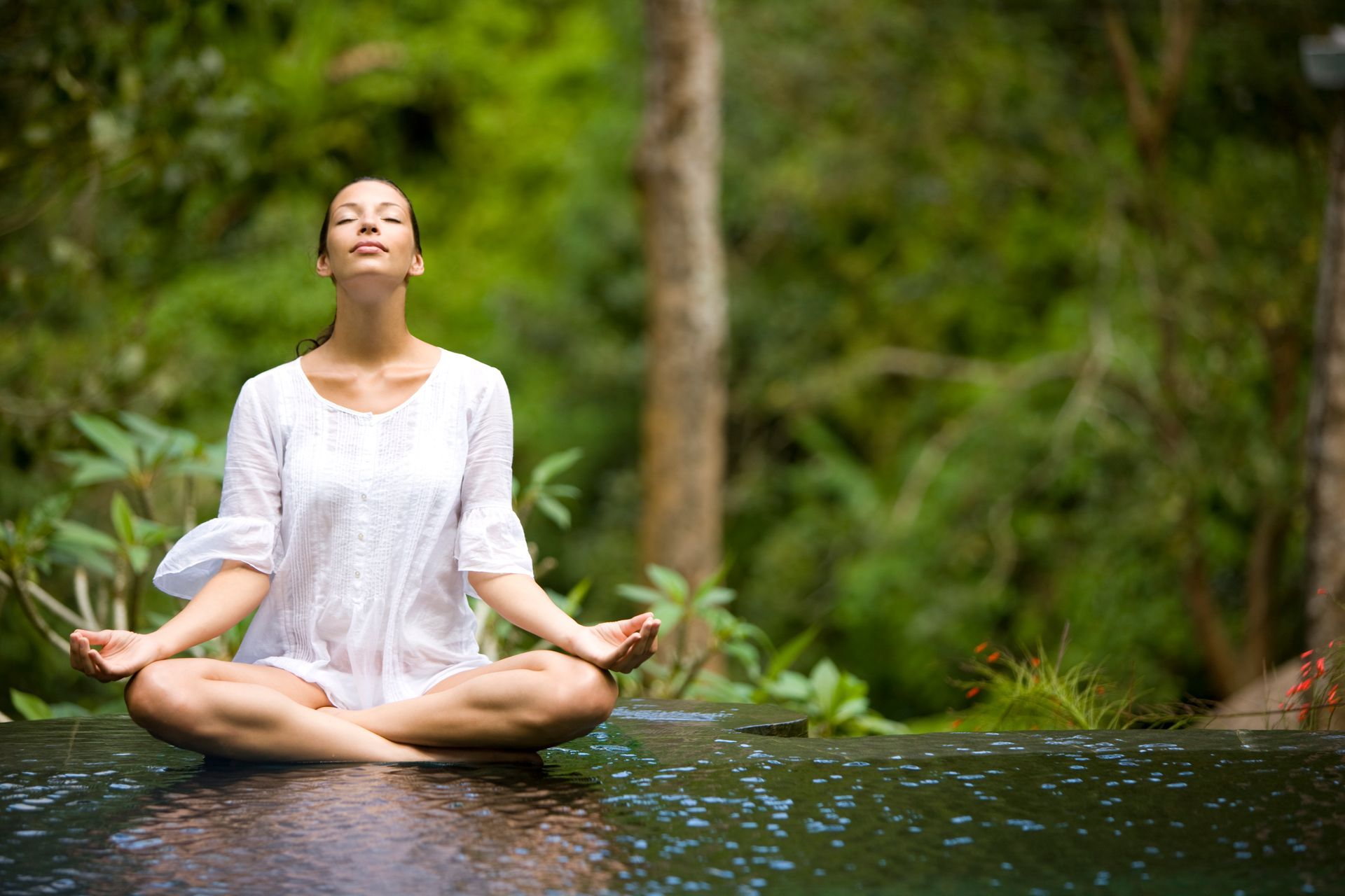 Balance + Renewal