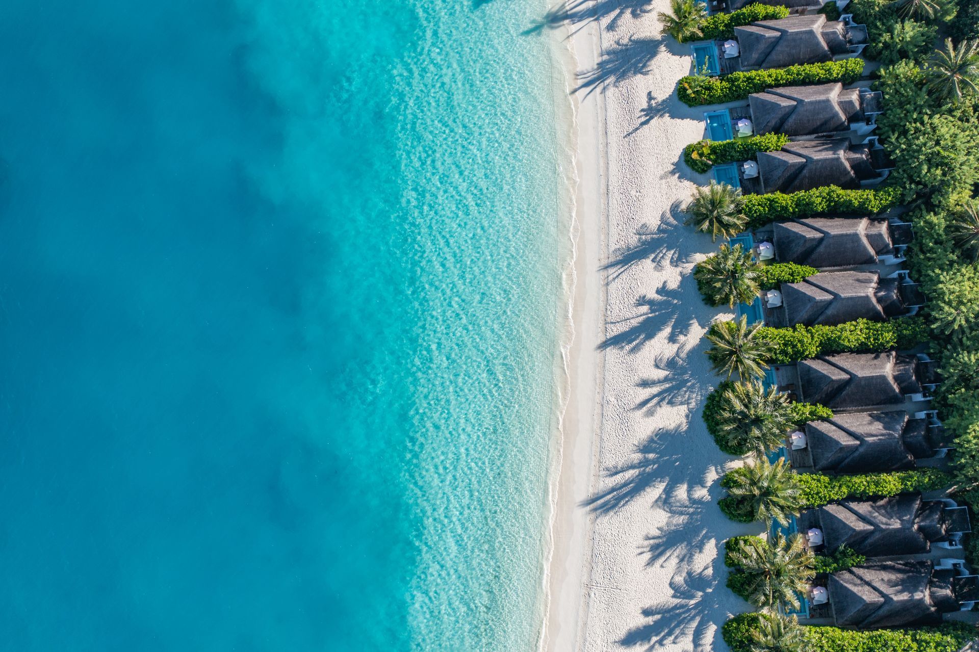 Aerial view of turquoise ocean meeting a white sandy beach lined with palm trees and villas