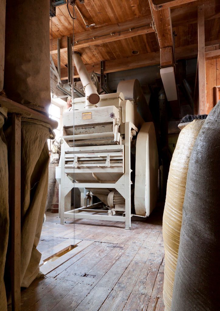 Es stehen viele verschiedene Brot- und Getreidesorten auf dem Tisch.