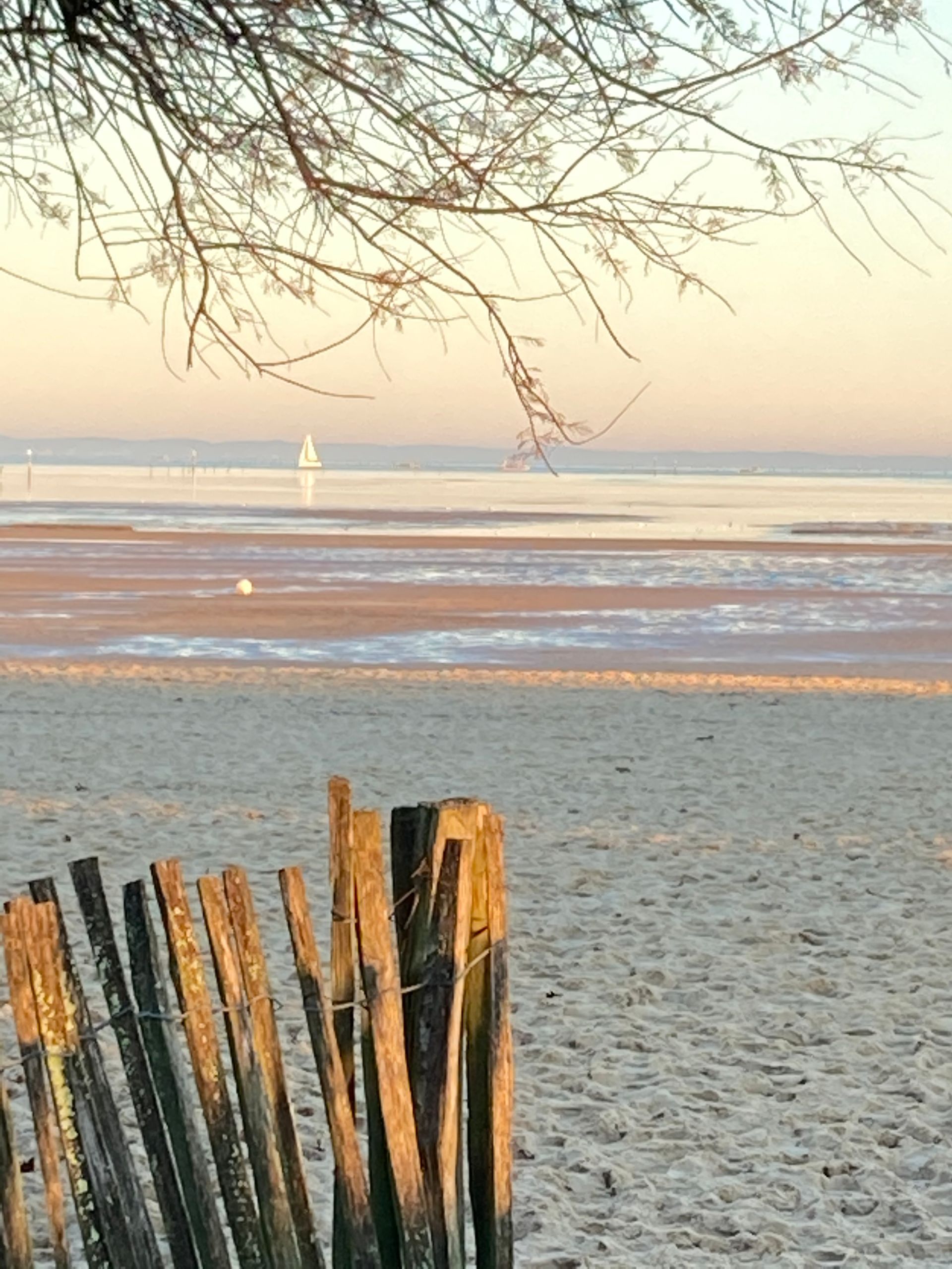 Scène de plage au coucher du soleil, clôture au premier plan, eau et bâtiment au loin.