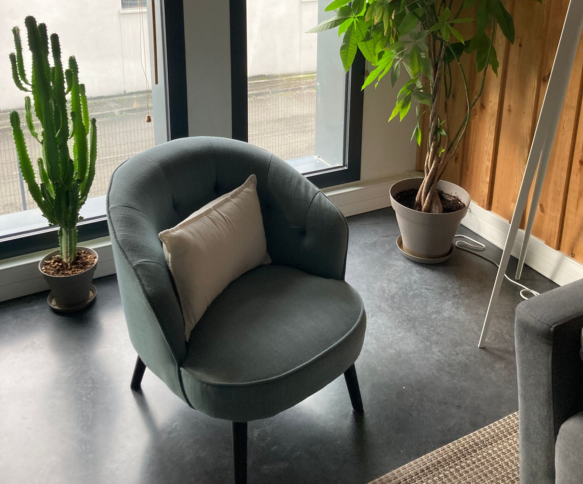Fauteuil vert avec un coussin crème, des plantes en pot et une fenêtre.