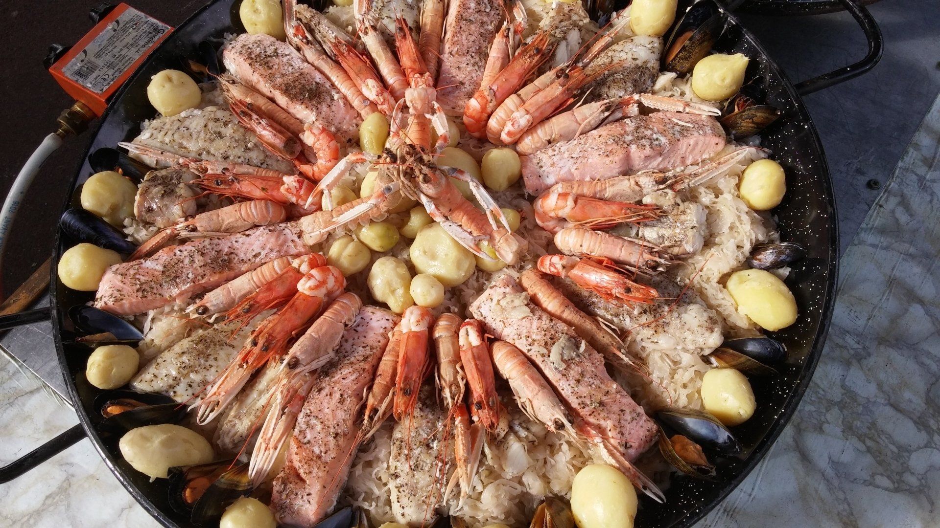 Plat unique - choucroute de la mer