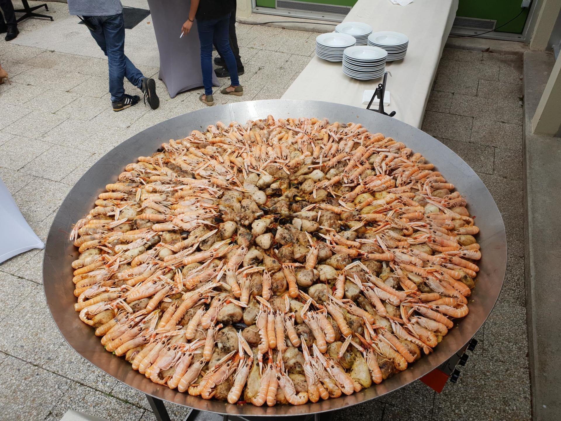 Plat unique pour une réception